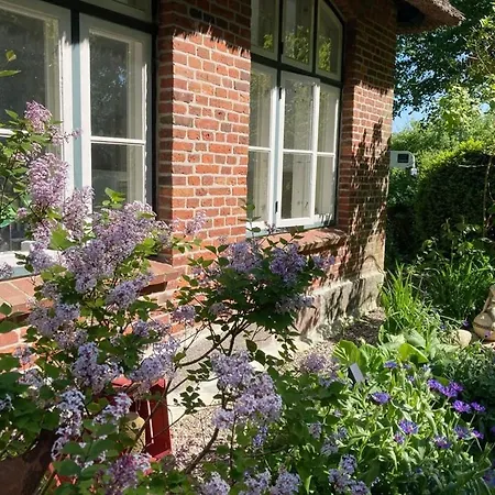 Apartment Idyllische Unter Reet