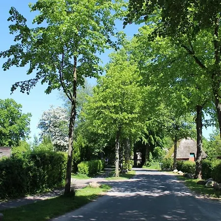 Idyllische Unter Reet Apartment Quarnbek